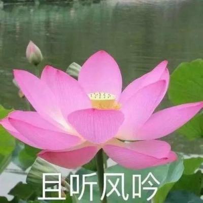 直播回放丨北京市新冠疫情防控新闻发布会